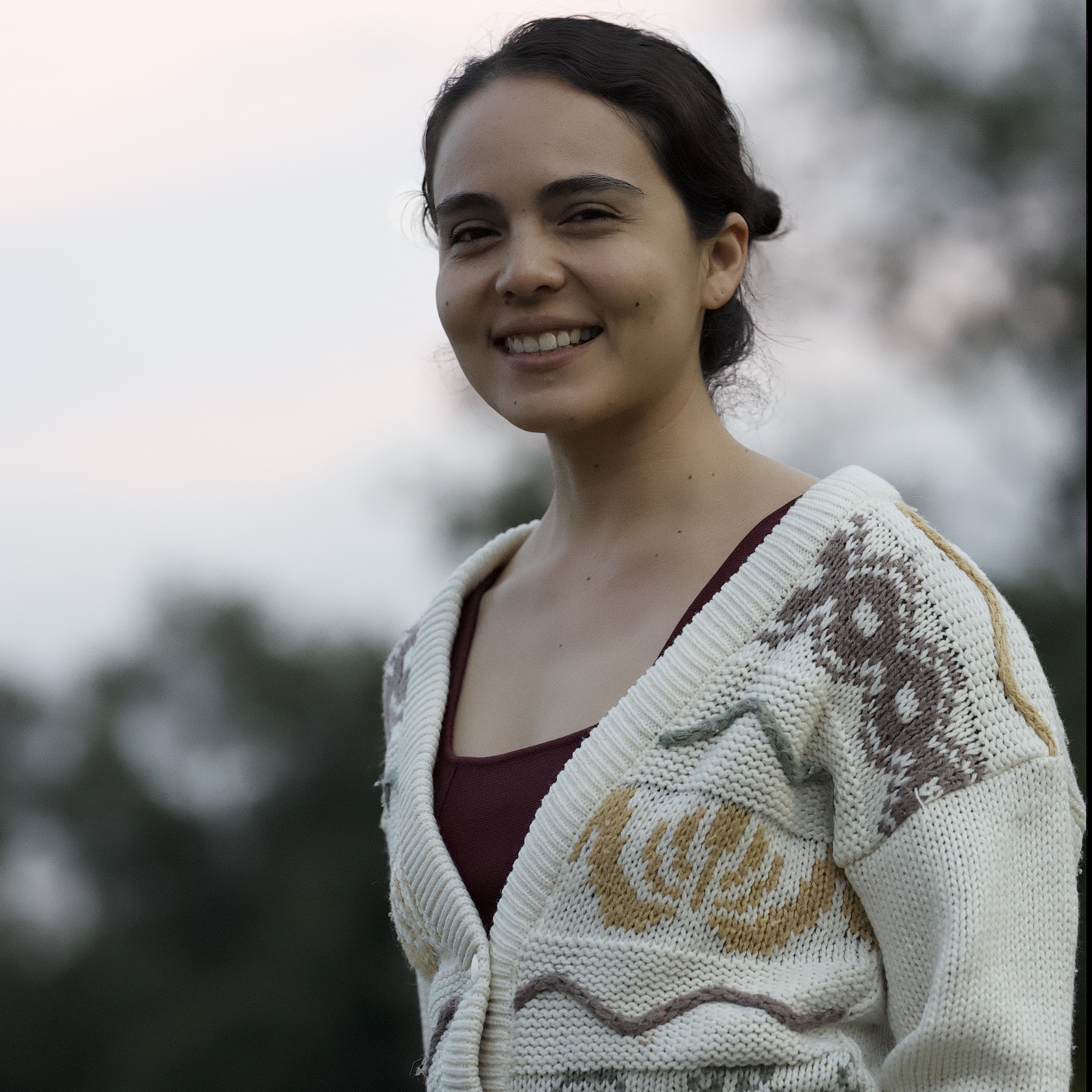 Diana Morán Torres